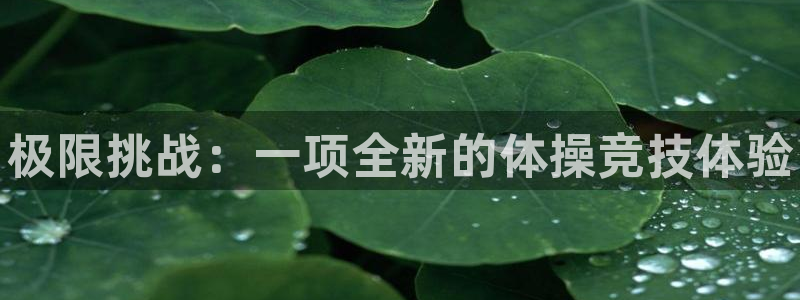 尊龙官方正版app集团E.ON:极限挑战:一项全新的体操竞技