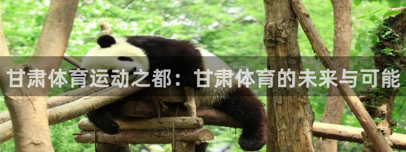 尊龙官网下载招商电话号码查询:甘肃体育运动之都:甘肃体育的未