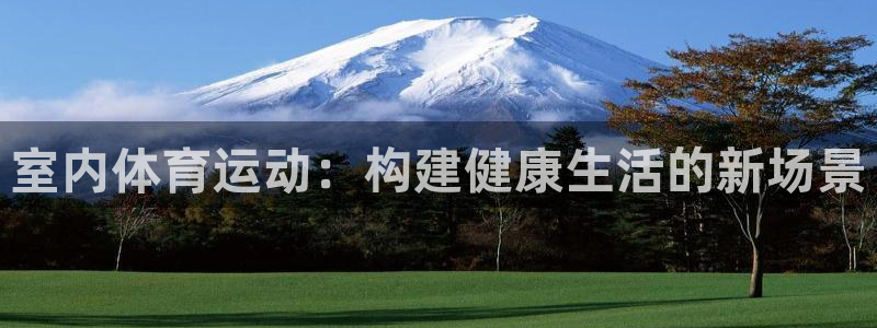 尊龙官网下载平台注册流程视频:室内体育运动:构建健康生活的新