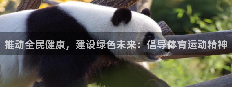 尊龙官方正版app代理:推动全民健康,建设绿色未来:倡导体育