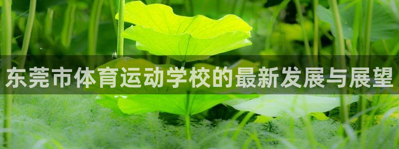 尊龙官网下载娱乐:东莞市体育运动学校的最新发展与展望