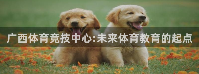 尊龙官网下载注册:广西体育竞技中心:未来体育教育的起点